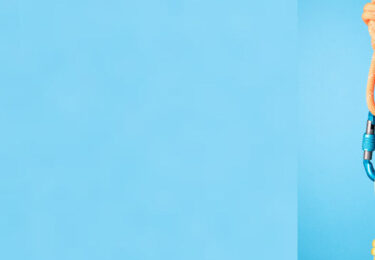 GEstion cadena de sumnistro